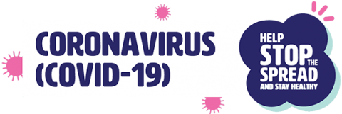 website logo